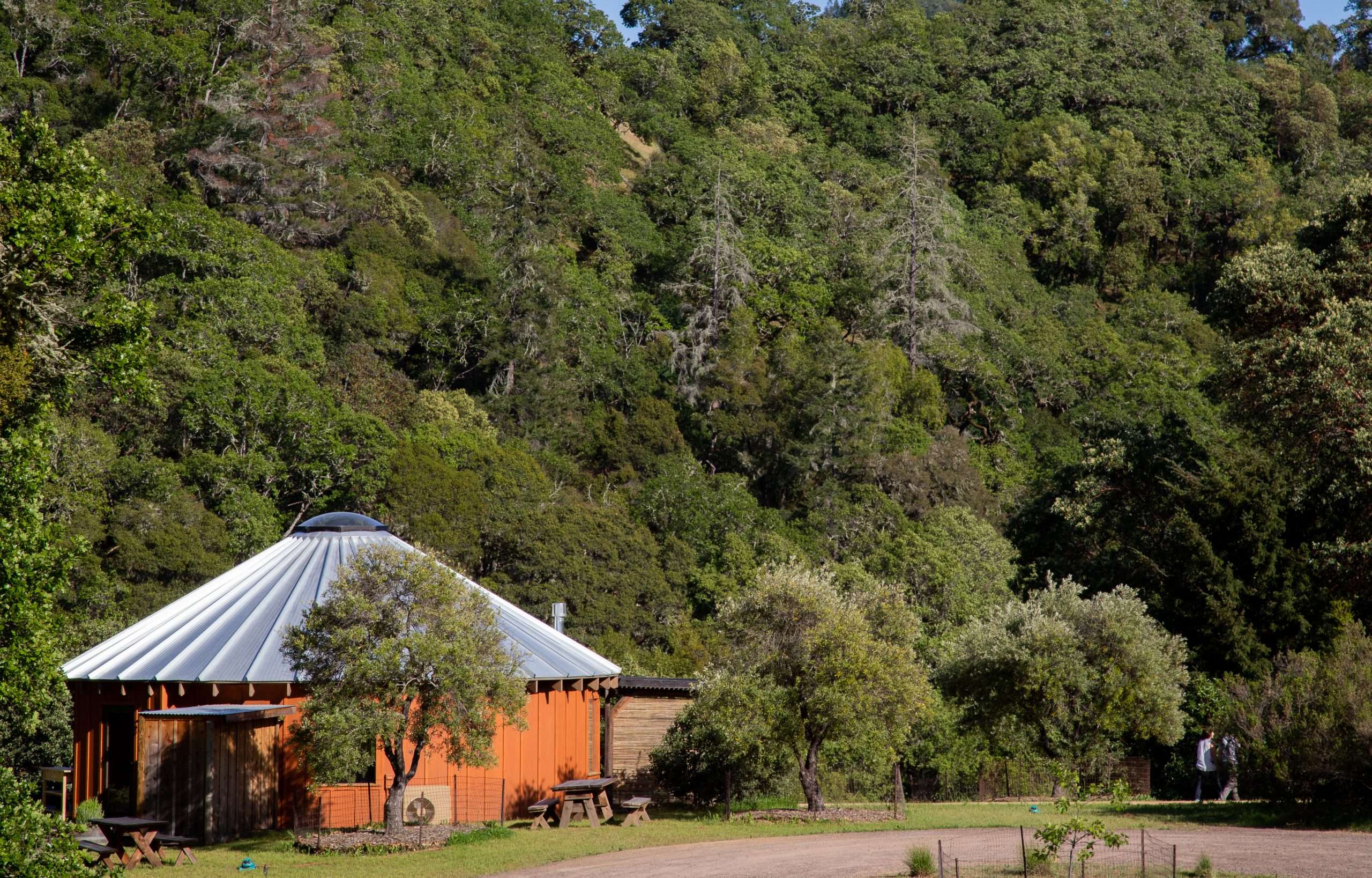 The Madrone Yurt