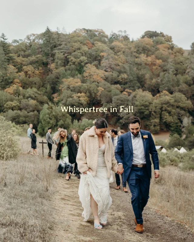 Golden light, crisp air, and the kind of stillness that makes your vows echo a little longer. 🍂✨

Fall at Whispertree is pure magic with fiery leaves starting to poke through the dense green trees, cozy nights, and the perfect backdrop for an unforgettable wedding weekend. An intimate ceremony under the trees or a full weekend celebration with your favorite people; the land holds space for it all.

—

We are open! Enjoy 6 miles of private hiking trails, pond, panoramic views of rolling hills, and cozy nooks to snuggle in.

Spend a night on the land and relax in the splendor of nature solo, or with a crew.

All day, every day; by reservation only <3 

📧 contact us to plan your gathering: chelsea@wtretreat.com

Fall weddings | rustic nature getaway | California countryside
